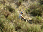 Grupo Mineralógico de Alicante. Paraje los Terreros. Valle de Ricote.Ojós. Murcia. 