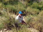 Grupo Mineralógico de Alicante.Paraje los Terreros. Valle de Ricote.Ojós. Murcia. 