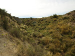 Grupo Mineralógico de Alicante.Paraje los Terreros. Valle de Ricote.Ojós. Murcia.