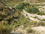 Grupo Mineralógico de Alicante.Paraje los Terreros. Valle de Ricote.Ojós. Murcia.