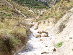 Grupo Mineralógico de Alicante.Paraje los Terreros. Valle de Ricote.Ojós. Murcia.