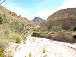 Grupo Mineralógico de Alicante.Paraje los Terreros. Valle de Ricote.Ojós. Murcia.