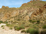 Grupo Mineralógico de Alicante.Paraje los Terreros. Valle de Ricote.Ojós. Murcia.