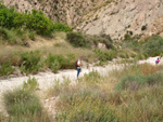 Grupo Mineralógico de Alicante.Paraje los Terreros. Valle de Ricote.Ojós. Murcia.