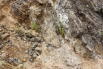 Grupo Mineralógico de Alicante. Exolotaciones de áridos y yeso. Cabezo del Polavar. Villena. Alicante