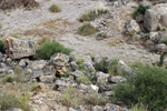 Grupo Mineralógico de Alicante.  Exolotaciones de áridos y yeso. Cabezo del Polavar. Villena. Alicante 