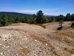 Grupo Mineralógico de Alicante.Mina la Estrella. Pardos. Guadalajara