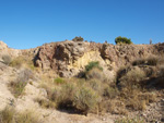 Grupo Mineralógico de Alicante. Explotaciones de yesos. Loma de las Indias. La Alcoraia. Alicante