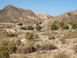 Grupo Mineralógico de Alicante. Explotaciones de yesos. Loma de las Indias. La Alcoraia. Alicante