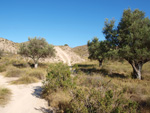 Grupo Mineralógico de Alicante. Explotaciones de yesos. Loma de las Indias. La Alcoraia. Alicante