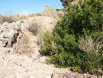 Grupo Mineralógico de Alicante.  Explotaciones de yesos. Loma de las Indias. La Alcoraia. Alicante 