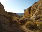 Grupo Mineralógico de Alicante. Explotaciones de yesos. Loma de las Indias. La Alcoraia. Alicante 