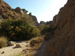 Grupo Mineralógico de Alicante.  Explotaciones de yesos. Loma de las Indias. La Alcoraia. Alicante 