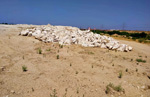 Grupo Mineralógico de Alicante. Mina Mina Victoria (Laguna de Ambroz). Canillejas-vicalvaro, Madrid