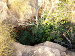 Grupo Mineralógico de Alicante. Explotaciones de ocres. El Sabinar. San Vicente del Raspeig/Muchamiel. Alicante