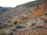 Grupo Mineralógico de Alicante. Explotaciones de ocres. El Sabinar. San Vicente del Raspeig/Muchamiel. Alicante