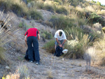 Grupo Mineralógico de Alicante. Mina San Francisco. Tibi. Alicante