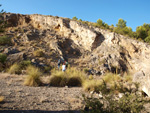 Grupo Mineralógico de Alicante. Exolotaciones de áridos y yeso. Cabezo del Polavar. Villena. Alicante