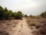 Grupo Mineralógico de Alicante. Exolotaciones de áridos y yeso. Cabezo del Polavar. Villena. Alicante