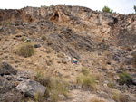 Grupo Mineralógico de Alicante. Exolotaciones de áridos y yeso. Cabezo del Polavar. Villena. Alicante