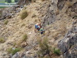 Grupo Mineralógico de Alicante. Exolotaciones de áridos y yeso. Cabezo del Polavar. Villena. Alicante