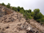 Grupo Mineralógico de Alicante.  Exolotaciones de áridos y yeso. Cabezo del Polavar. Villena. Alicante 