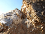 Grupo Mineralógico de Alicante. Exolotaciones de áridos y yeso. Cabezo del Polavar. Villena. Alicante