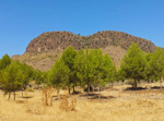 Grupo Mineralógico de Alicante. Minas del Coto Menor. Hellín. Albacete