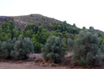 Grupo Mineralógico de Alicante. Exolotaciones de áridos y yeso. Cabezo del Polavar. Villena. Alicante