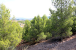 Grupo Mineralógico de Alicante.  Exolotaciones de áridos y yeso. Cabezo del Polavar. Villena. Alicante 