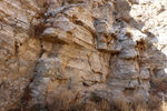 Grupo Mineralógico de Alicante.  Exolotaciones de áridos y yeso. Cabezo del Polavar. Villena. Alicante 