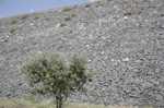 Grupo Mineralógico de Alicante.  Pantano de la Almendra. Cibanal. Zamora 