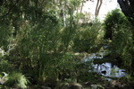 Grupo Mineralógico de Alicante.Bateo de oro. Navasfrias. Zamora