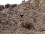 Grupo Mineralógico de Alicante. Exolotaciones de áridos y yeso. Cabezo del Polavar. Villena. Alicante