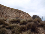 Grupo Mineralógico de Alicante. Exolotaciones de áridos y yeso. Cabezo del Polavar. Villena. Alicante