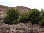 Grupo Mineralógico de Alicante. Exolotaciones de áridos y yeso. Cabezo del Polavar. Villena. Alicante