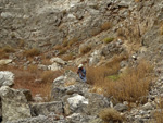 Grupo Mineralógico de Alicante. Exolotaciones de áridos y yeso. Cabezo del Polavar. Villena. Alicante