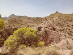 Grupo Mineralógico de Alicante. Cantera los Serranos. Albatera. Alicante