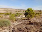 Grupo Mineralógico de Alicante. Cerro La Tarta, Rivas-Vaciamadrid, Comarca Área metropolitana de Madrid, Comunidad de Madrid