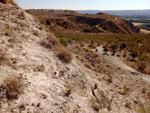 Grupo Mineralógico de Alicante. Cerro La Tarta, Rivas-Vaciamadrid, Comarca Área metropolitana de Madrid, Comunidad de Madrid