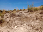 Grupo Mineralógico de Alicante. Cerro La Tarta, Rivas-Vaciamadrid, Comarca Área metropolitana de Madrid, Comunidad de Madrid