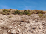 Grupo Mineralógico de Alicante. Cerro La Tarta, Rivas-Vaciamadrid, Comarca Área metropolitana de Madrid, Comunidad de Madrid