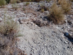 Grupo Mineralógico de Alicante. Cerro La Tarta, Rivas-Vaciamadrid, Comarca Área metropolitana de Madrid, Comunidad de Madrid