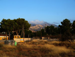 Grupo Mineralógico de Alicante. Cantera Casablanca. San Vicente del Raspeig. Alicante