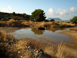 Grupo Mineralógico de Alicante. Cantera Casablanca. San Vicente del Raspeig. Alicante