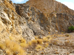 Grupo Mineralógico de Alicante. Cantera Casablanca. San Vicente del Raspeig. Alicante