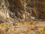 Grupo Mineralógico de Alicante. Cantera Casablanca. San Vicente del Raspeig. Alicante