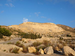 Grupo Mineralógico de Alicante. Cantera Holcín. Busot. Alicante