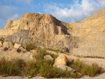 Grupo Mineralógico de Alicante. Cantera Holcín. Busot. Alicante