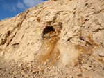 Grupo Mineralógico de Alicante. Cantera Holcín. Busot. Alicante